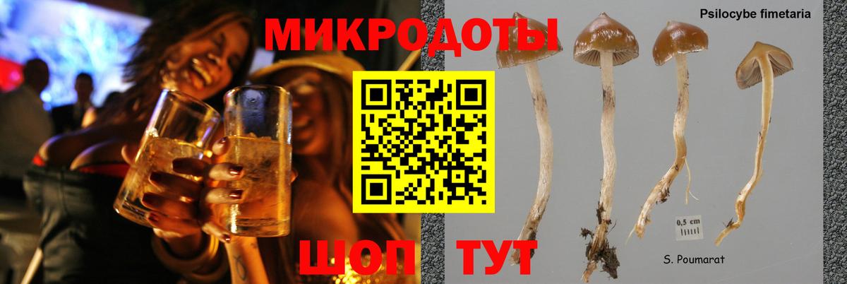 Галлюциногенные грибы прущие грибы  Галлюциногенные грибы GOLDEN TEACHER  Вход с VPN  Верхняя Пышма 