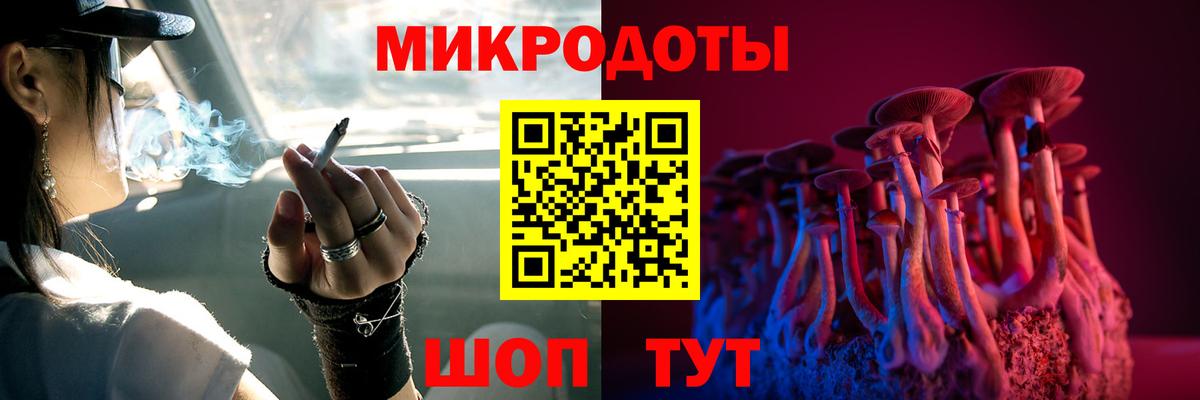 Псилоцибиновые грибы Psilocybine cubensis Верхняя Пышма